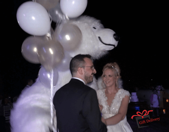 The White Polar Bear came to the wedding to deliver the gift to the bride and groom. Gift Delivery. Wedding gift. Surprise from the Political bear. White Polar Bear at the wedding.